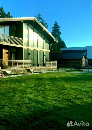 Рулонный газон