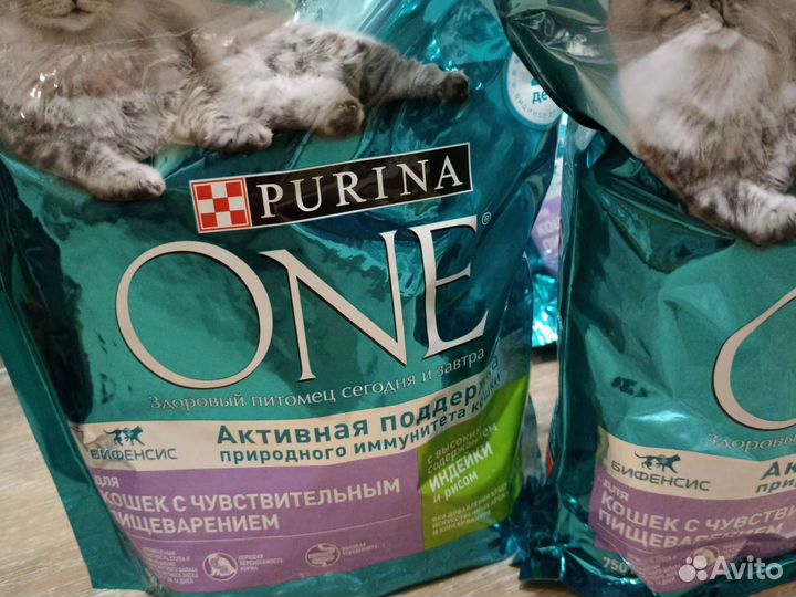 Корм для кошек Purina one 750г