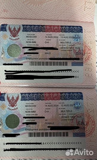 Виза в Тайланд (пенсионная, TR, DTV, ED, NON-B)