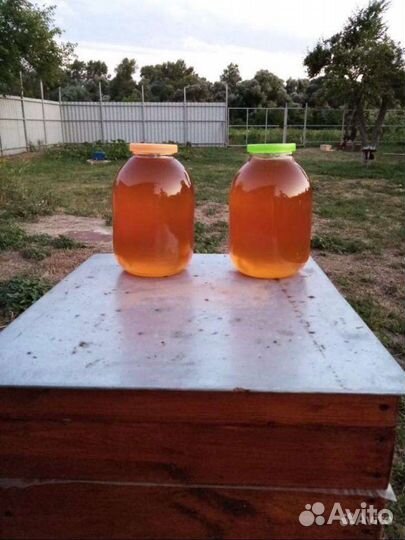 Мед разнотравье 2023