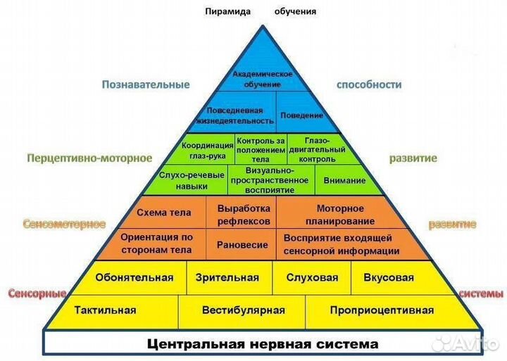 Нейропсихолог, олигофренопедагог, педагог-психолог