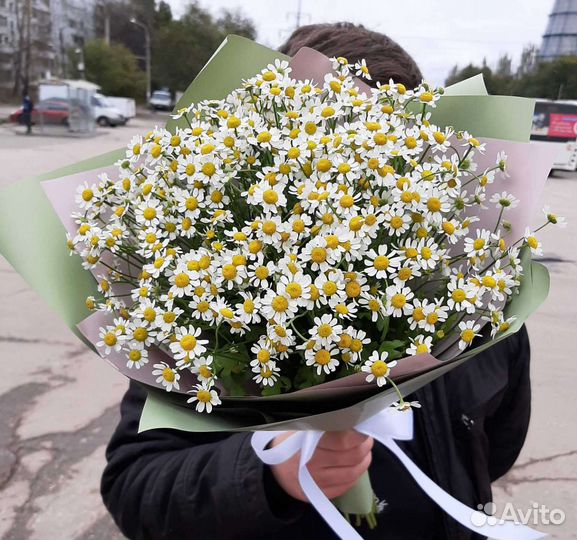 Цветы розы букеты хризантемы ромашки альстромерии