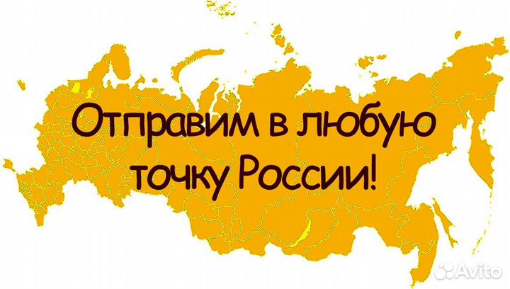 Комплект венчиков миксера robot coupe MP350 combi