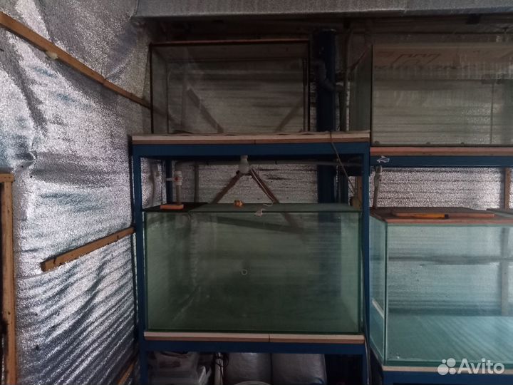 Узв из аквариумов