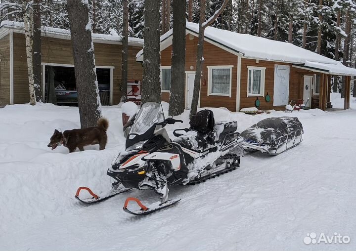 BRP Lynx 49 Ranger ST 900 ACE 2019