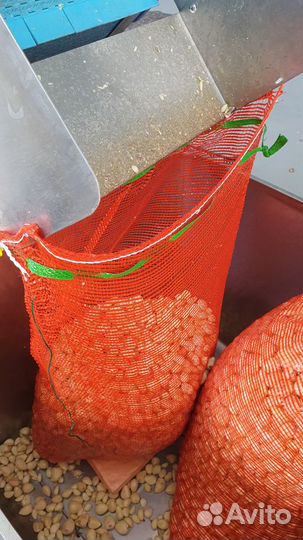 Чеснок очищенный