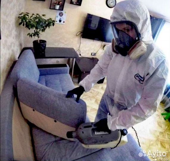 Уничтожение клопов тараканов блох мышей муравьев