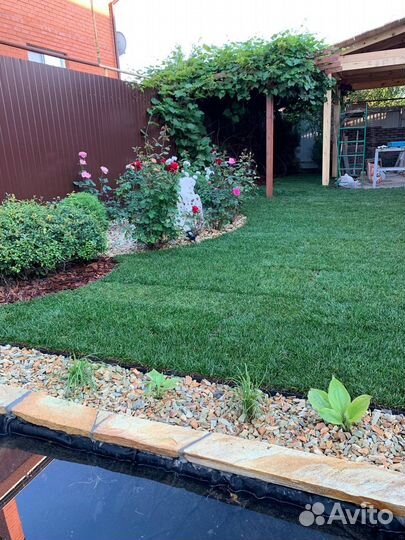 Рулонный газон