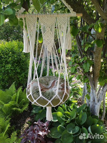 Гамаки, домики для кошек и собак, миски