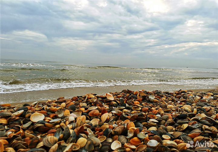 Экскурсии, джип туры по Кавказу