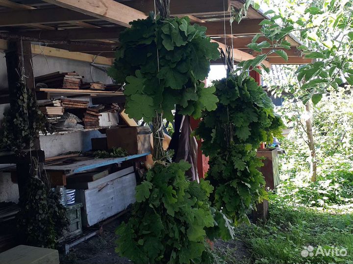 Веники для бани