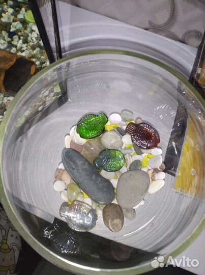 Ваза бренди-миниаквариум