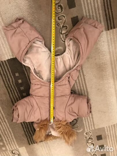 Одежда для собак