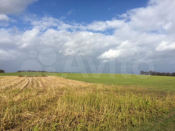 Участок 40 га (СНТ, ДНП)