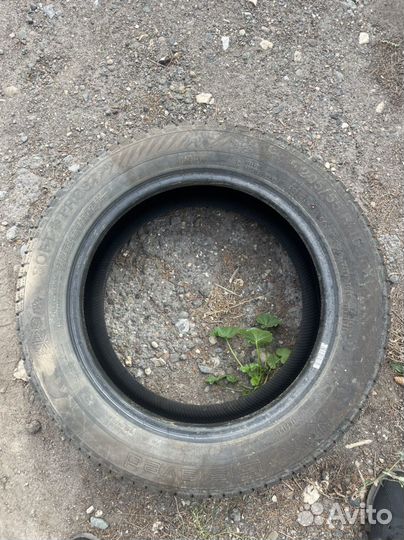 Gislaved Soft Frost 200 205/55 R16