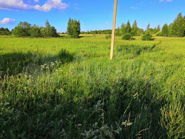 Участок 23,8 сот. (СНТ, ДНП)