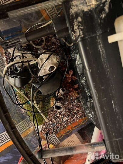 Аквариум со всем содержимым