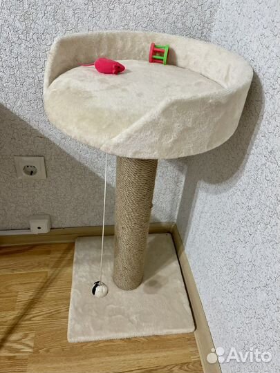 Когтеточка для кошек