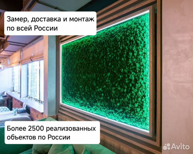 Стабилизированный мох - панно