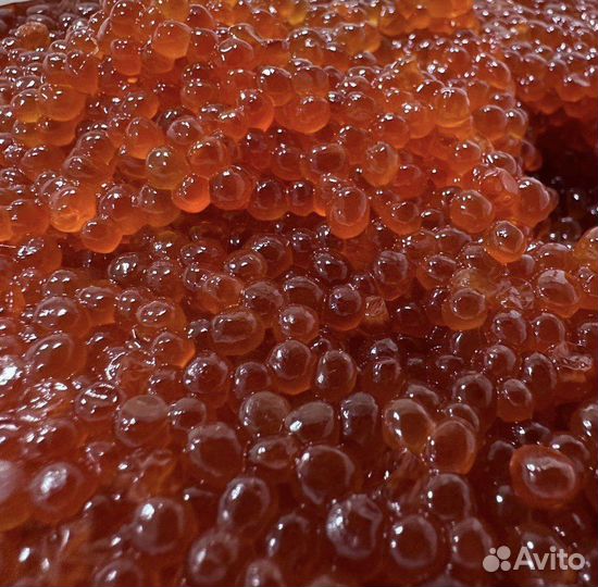 Красная икра натуральная слабосоленая от 25кг