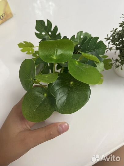 Искустренные цветки из IKEA