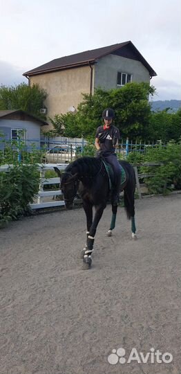 Конные прогулки/занятия по верховой езде