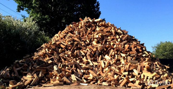 Дрова ольха осина