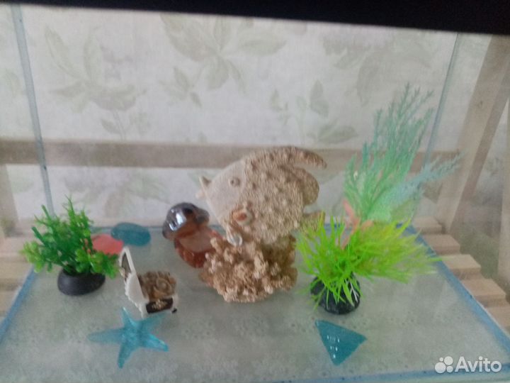 Аквариум 5л