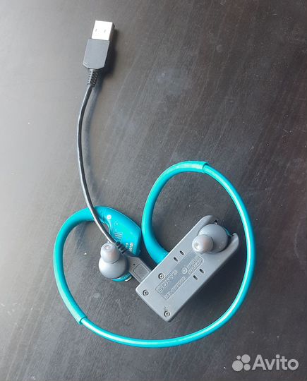 Sony Walkman NW-WS623
