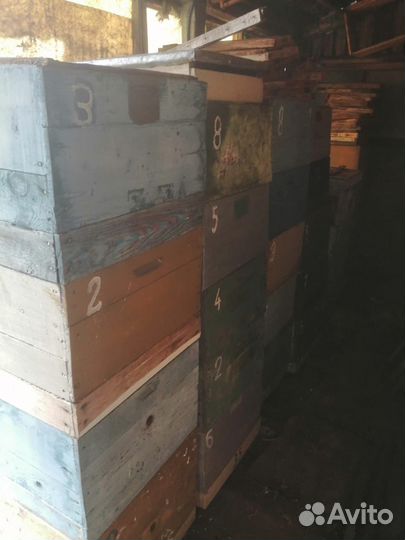 Пасека, ульи