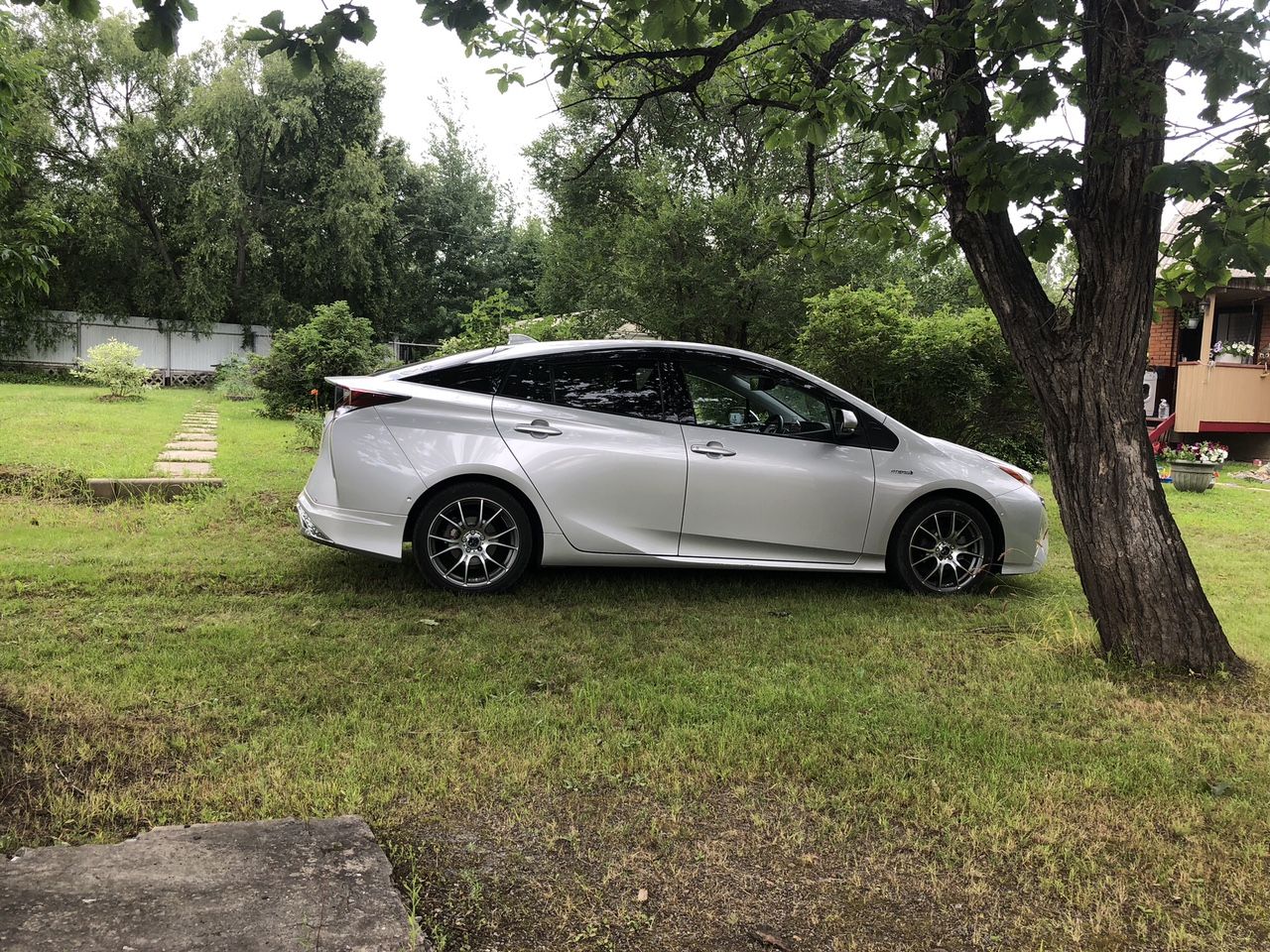 Toyota Prius: фото владельца