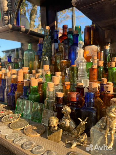 Гид по тайному Калининграду