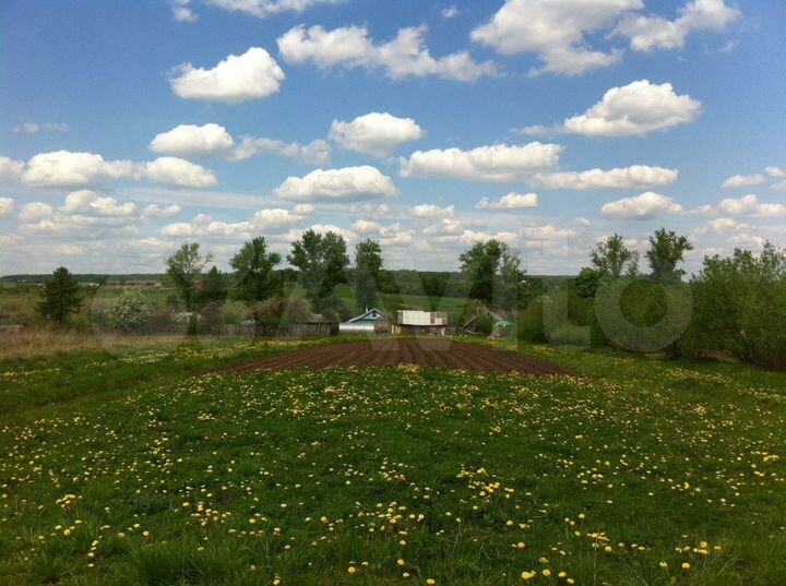 Участок 16 сот. (СНТ, ДНП)