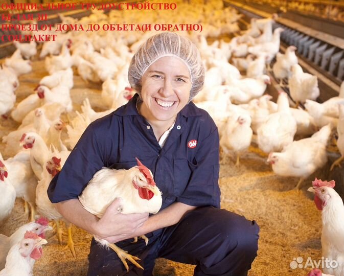 Оператор конвейерной линии