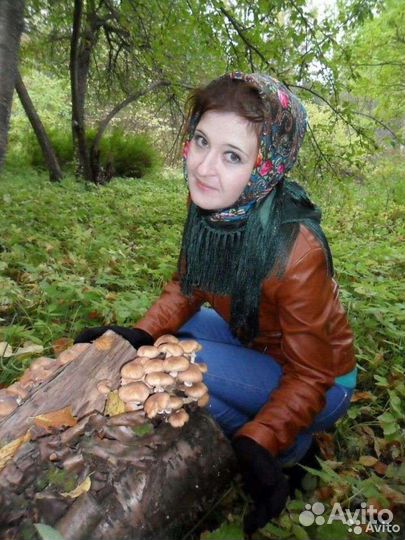 Няня для ребёнка, репетитор по математике