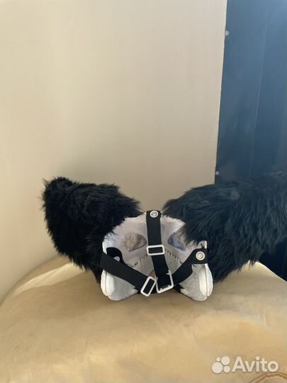 Обмен раптор фурсют