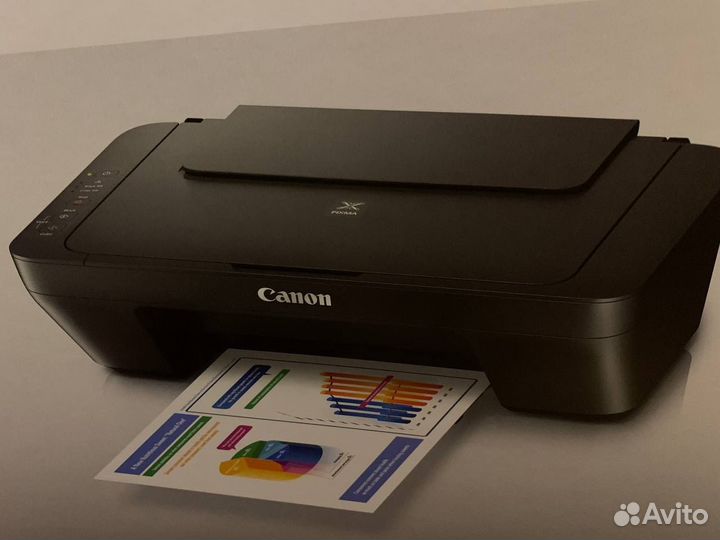 Принтер canon pixma mg2555s