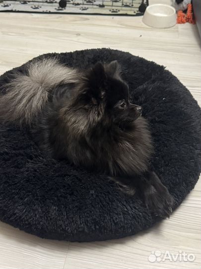 Добрый, послушай мальчик