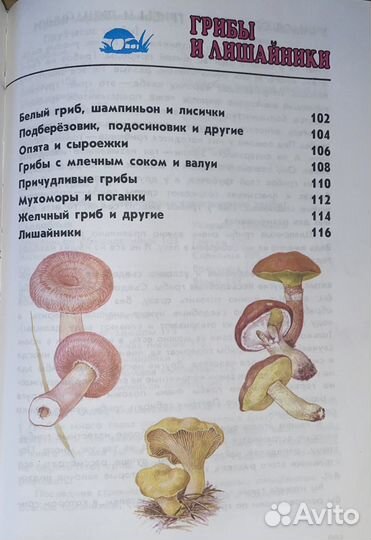 От земли до неба. Атлас-определитель. 1-4 классы