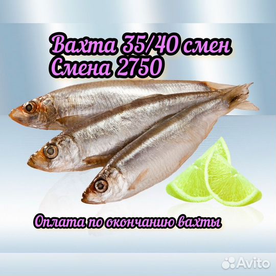 Вахта 35/40 смен с 3-х разовым питанием