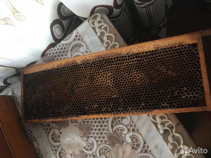 Сушь полурамка