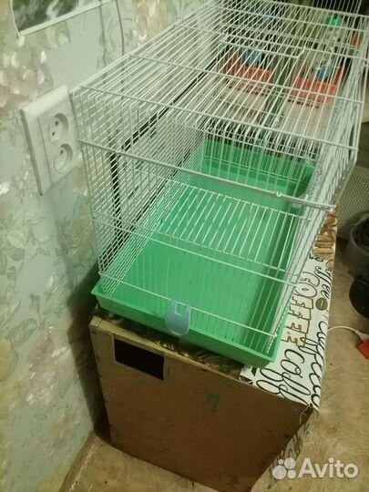 Клетка для грызунов большая