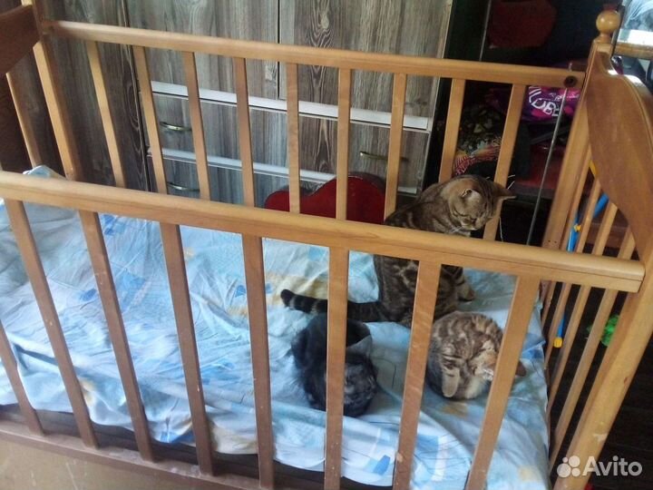 Детская кроватка с маятником