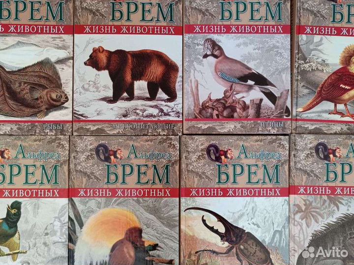 Книги 24 тома