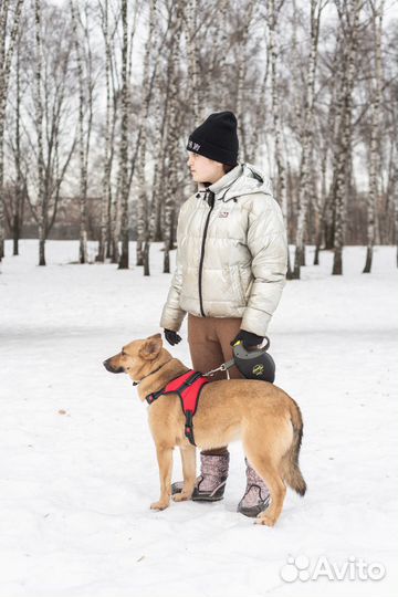 Ялта ждет друга