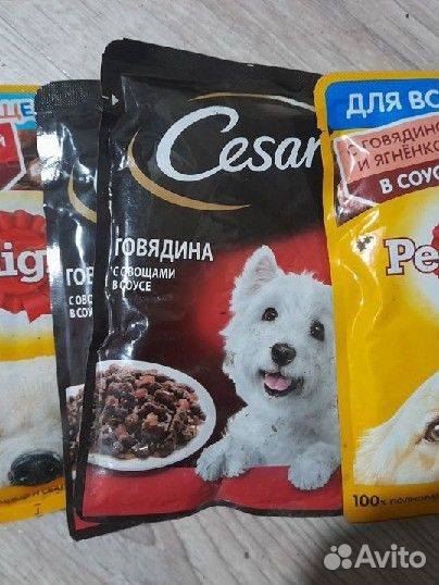 Корм для собак