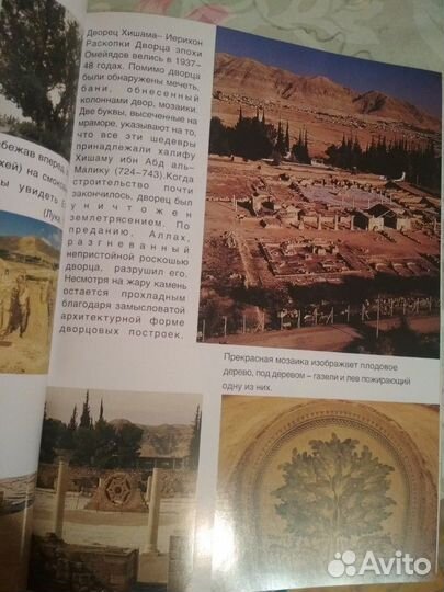 Книга Путешествие в святую землю