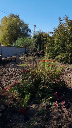 Дача 46 м² на участке 6,9 сот.