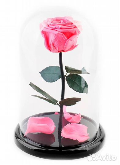 Роза в колбе. Стабилизированная