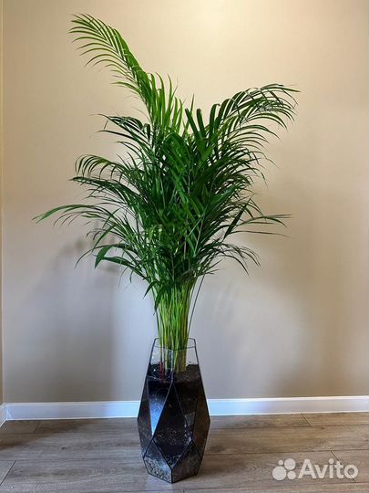 Напольная ваза для пальмы,цветов